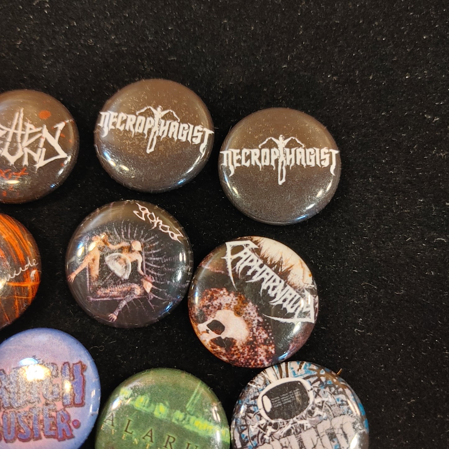 Putrid Pins! Collection 15 Death Metal 1" Heavy Metal Gore Core Free Shipping!