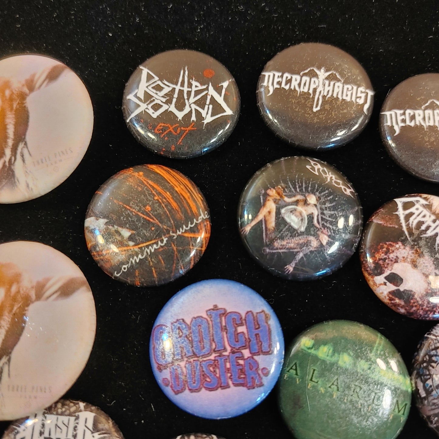 Putrid Pins! Collection 15 Death Metal 1" Heavy Metal Gore Core Free Shipping!