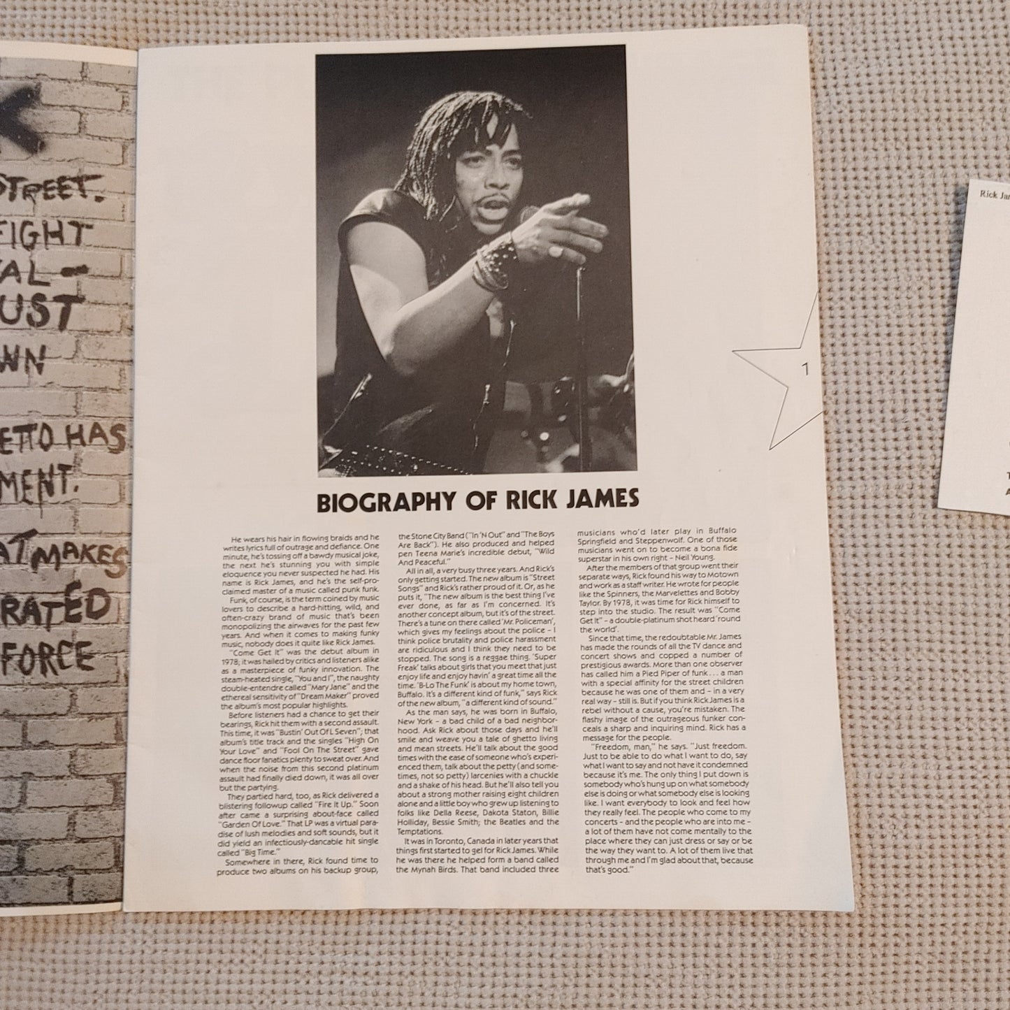 Rick James Tour Program 1981 Street Tour Original Complete Funk Concert Punk