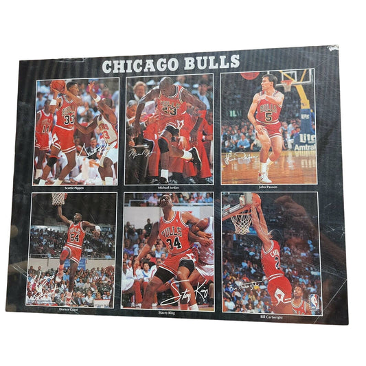 Best Bulls? Early 90's Chicago Bulls Poster Jordan Pippen Paxson Free Shipping!