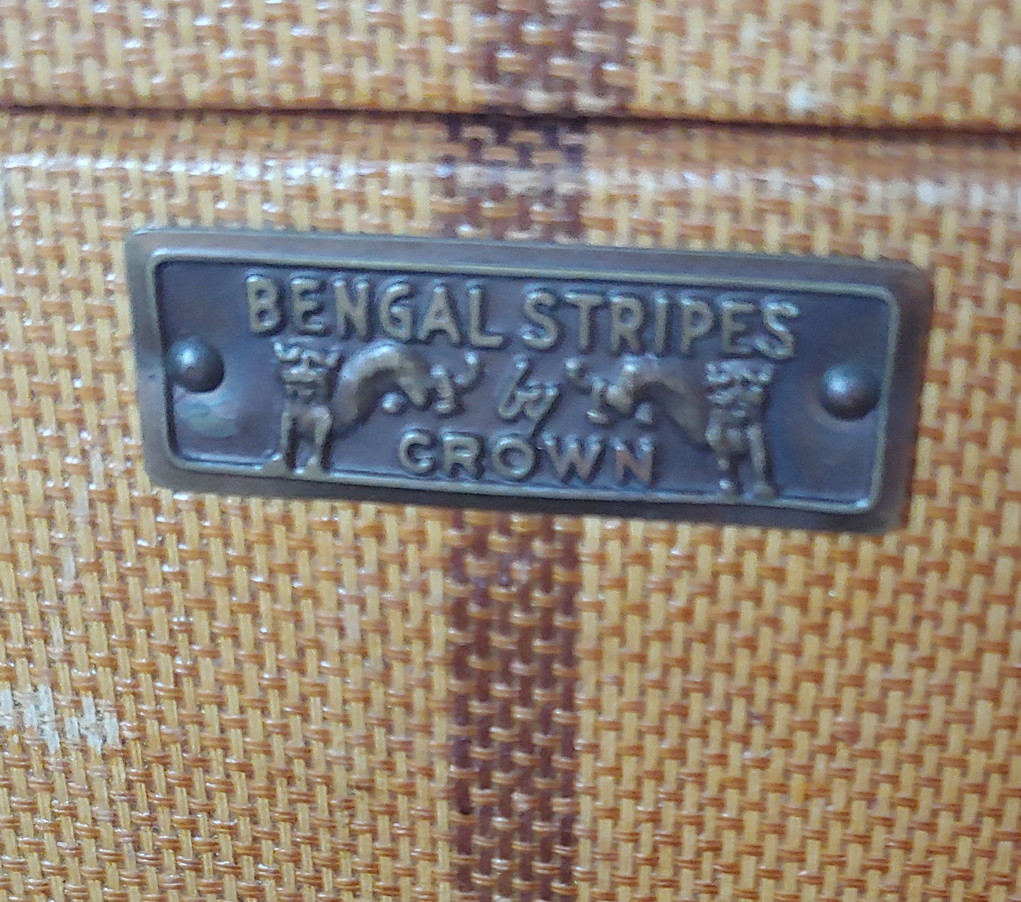 Dapper! Vintage Train Case Bengal Stripes by Crown Early Antique