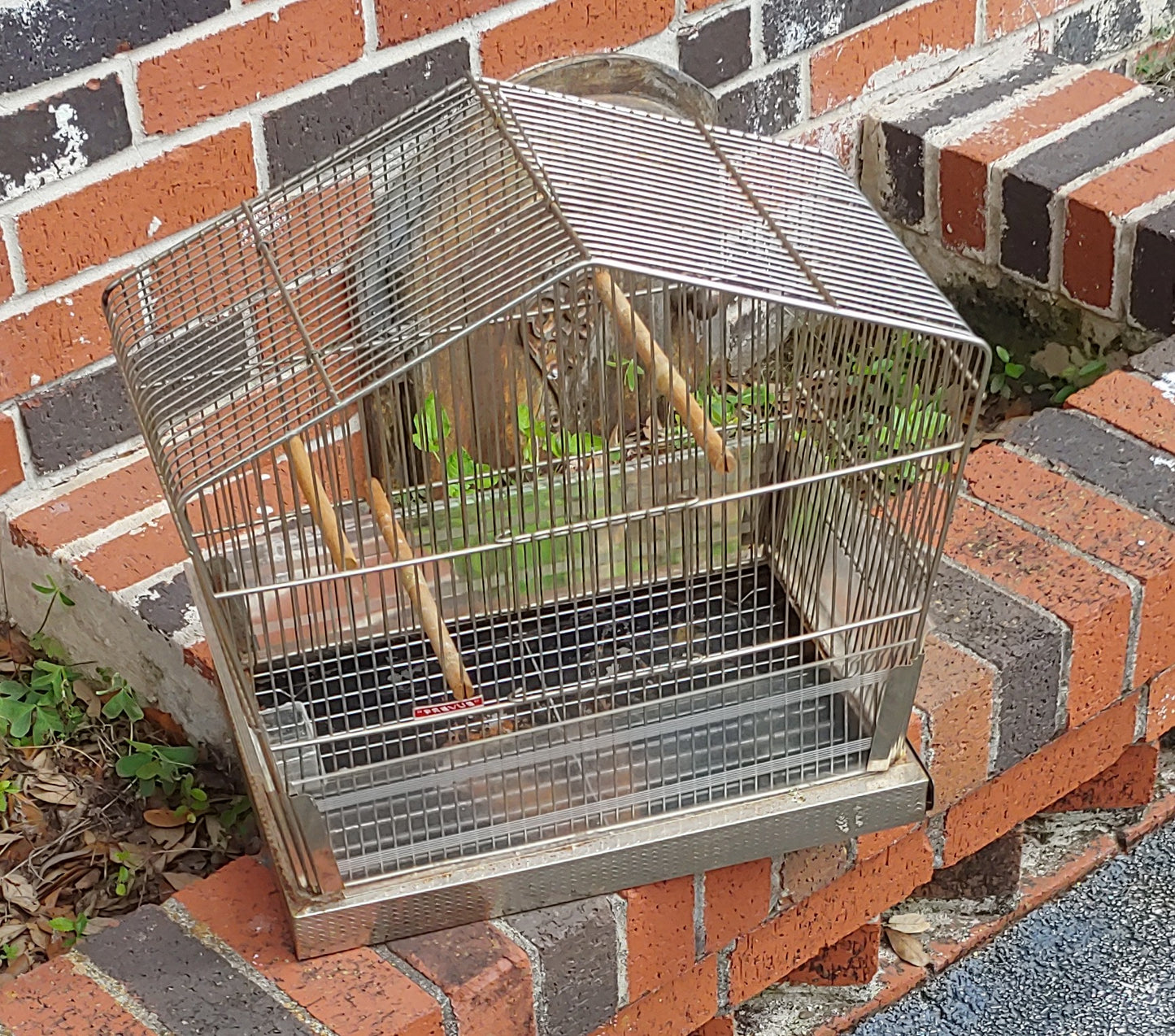 For the Birds...Vintage Used Midcentury Bird Cage