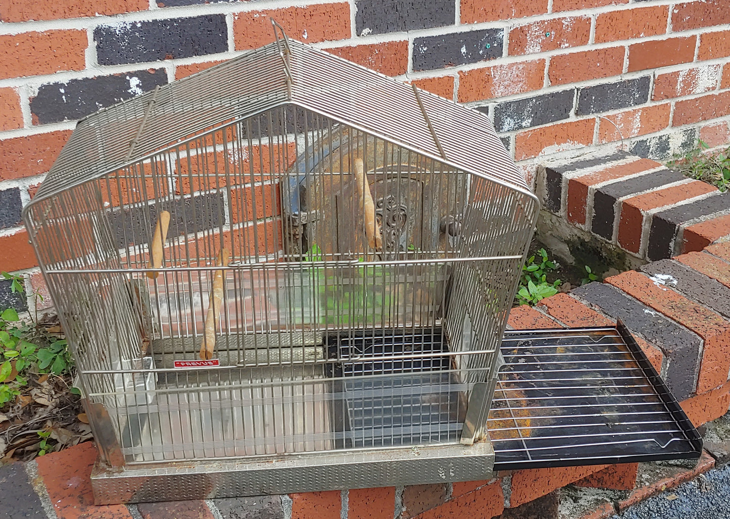 For the Birds...Vintage Used Midcentury Bird Cage