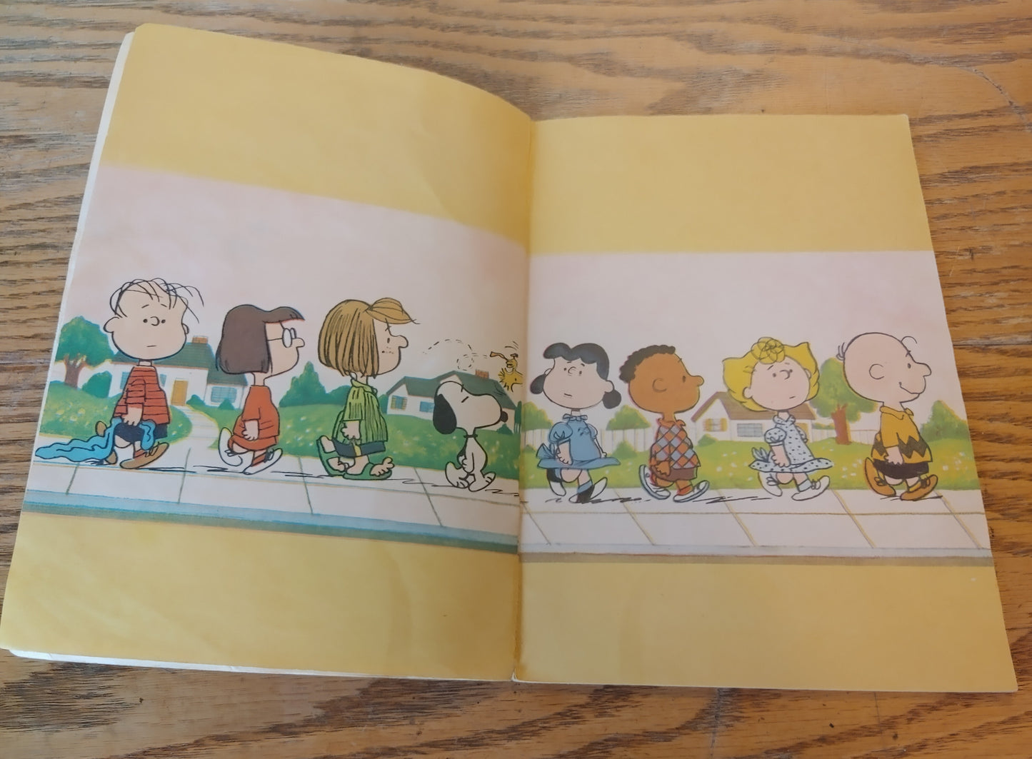 Good Grief! Vintage A Charlie Brown Thanksgiving book 1975 1st Edition