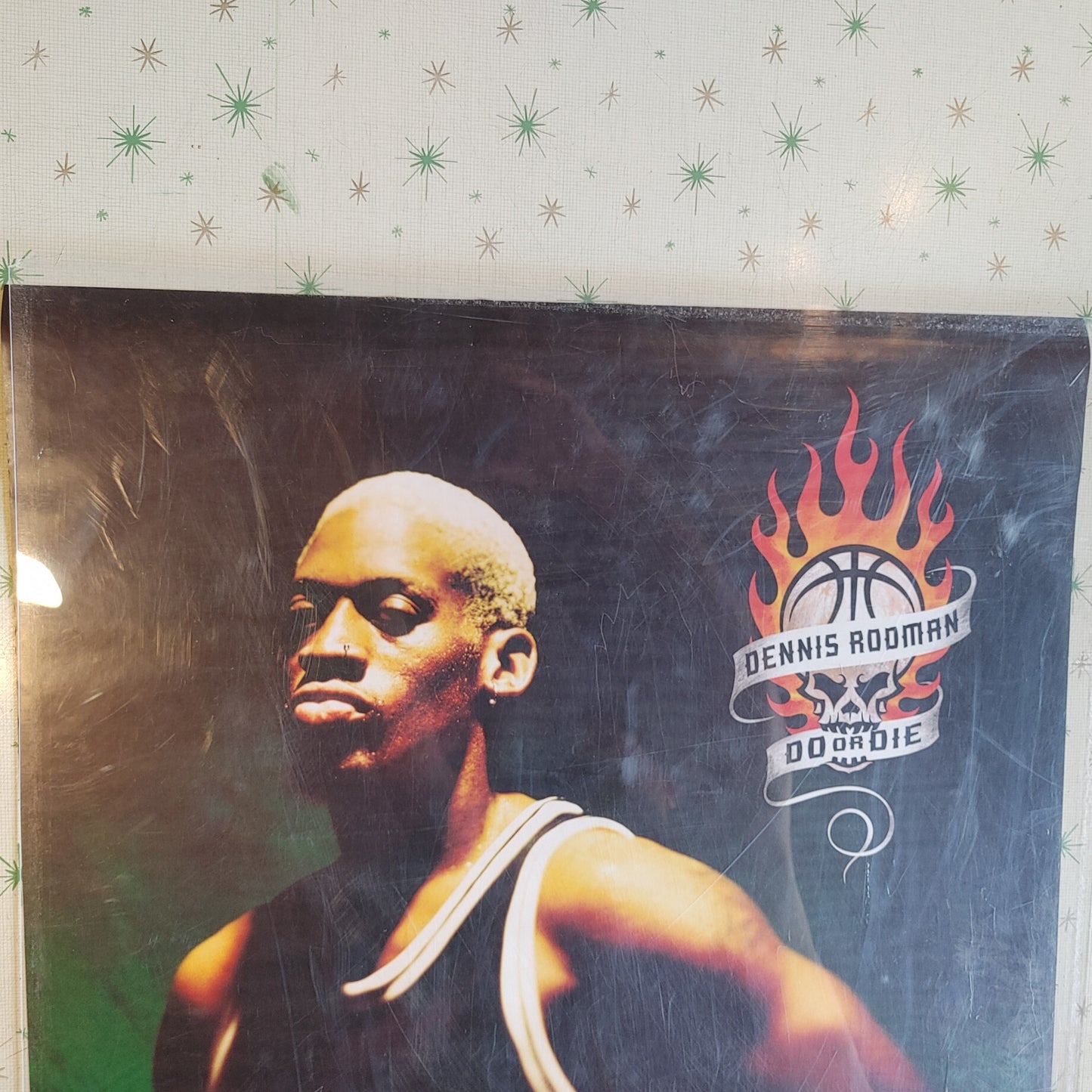 The Worm! Dennis Rodman NBA Poster Do or Die #5439 1994 Nike O.S.P.