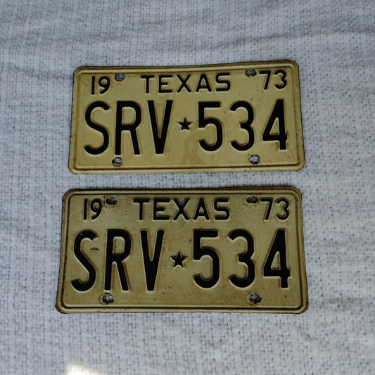 Timeless Tags 2! Vintage Original Texas State 1973 License Plates #SRV-534